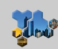Curia Trading Company